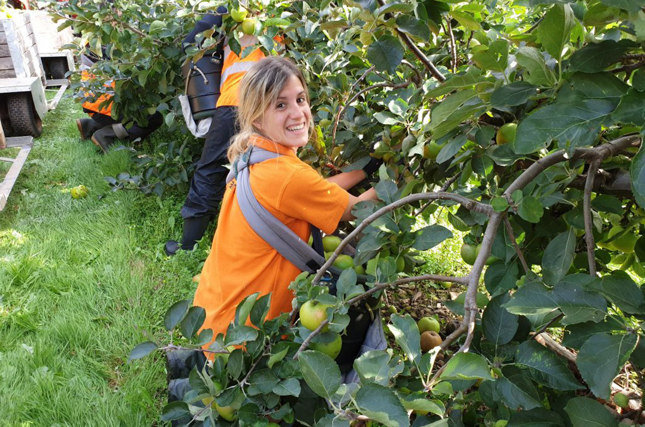Broadwater Farm UK Summer Fruit Picking